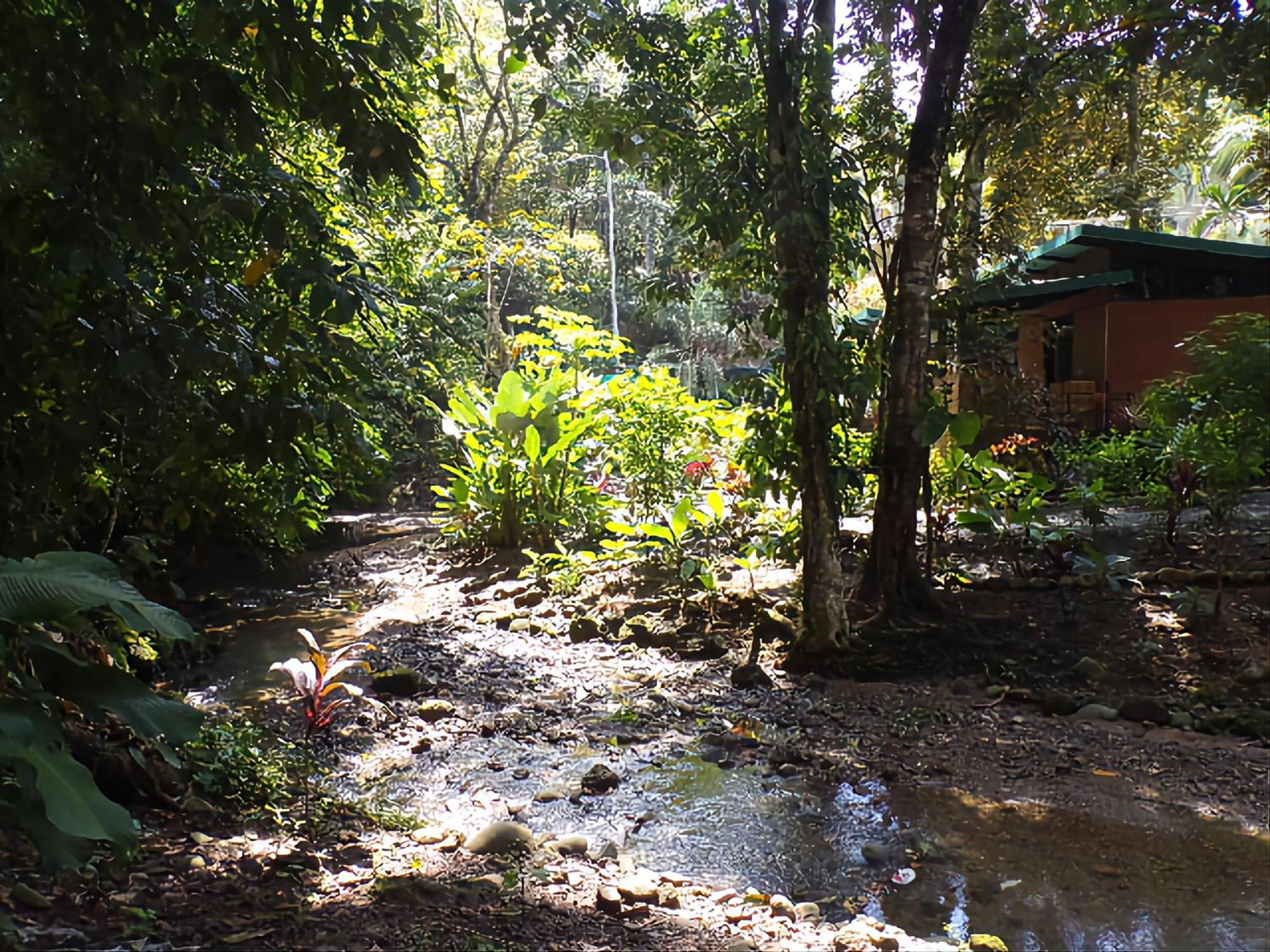 Riverside Villas Manuel Antonio Esterno foto