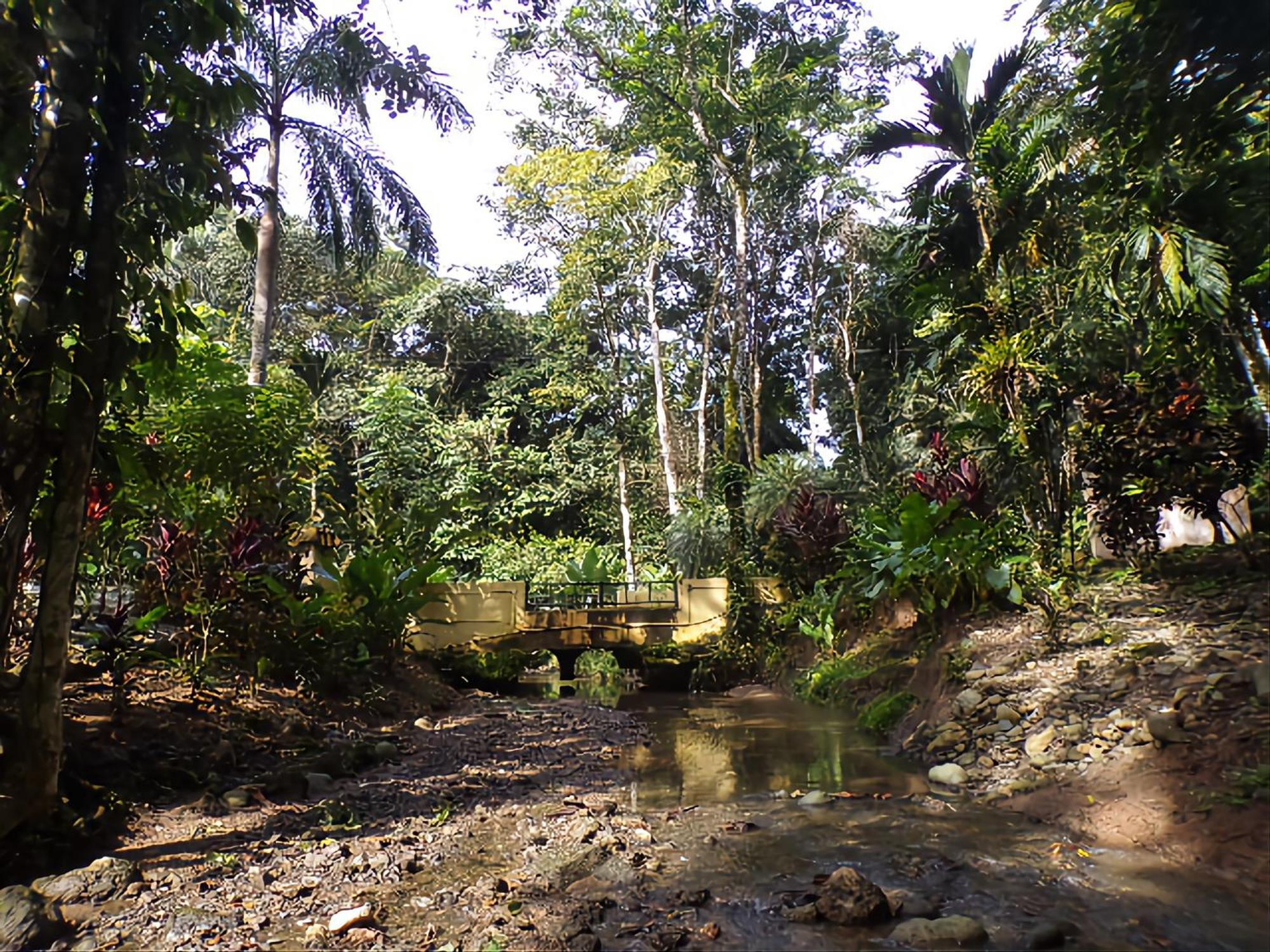 Riverside Villas Manuel Antonio Esterno foto