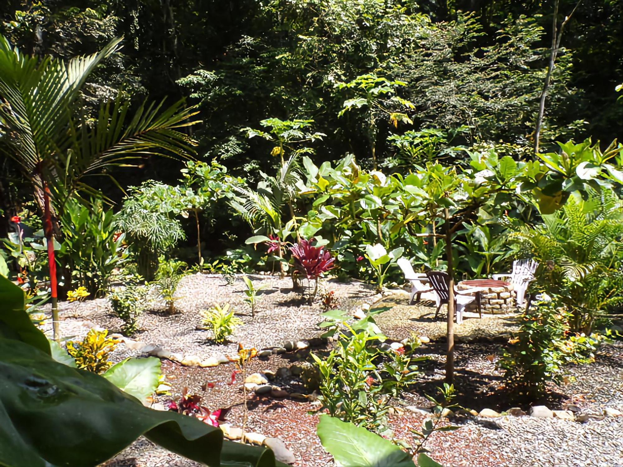Riverside Villas Manuel Antonio Esterno foto